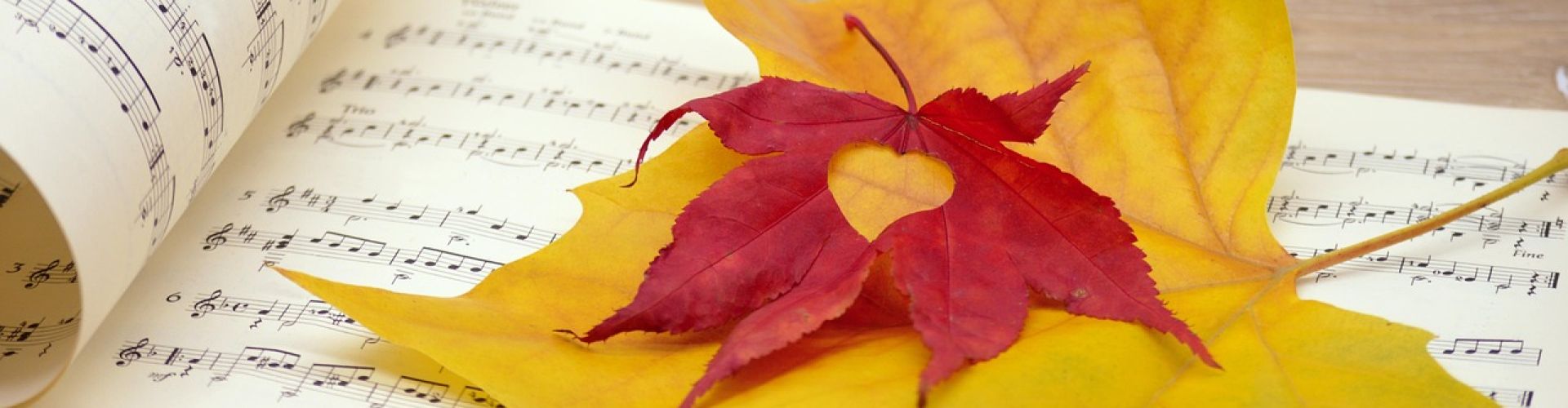 Noten auf denen herbstlich gefärbte Blätter liegen